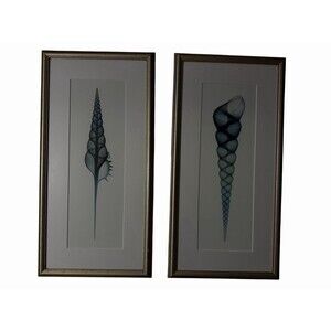 Set‎ of 2 Framed Coastal Shell Art Prints – Gold Frame Wall Decor 17x41 Spiral